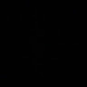 Meet your Posher, Luli